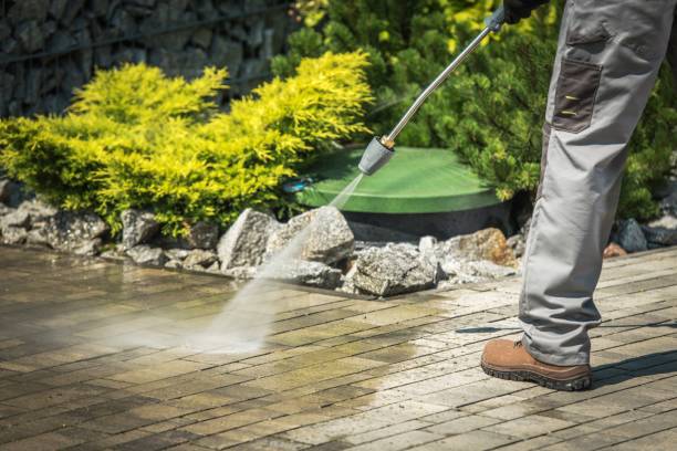 Best Soft Washing  in Bonita, CA